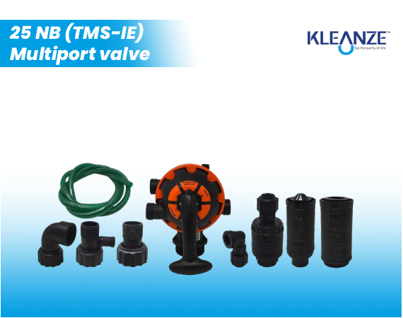 25 NB  (TMS-IE) Multiport valve